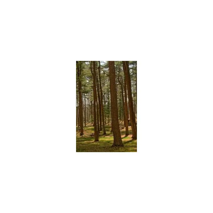 Simple Product 8308