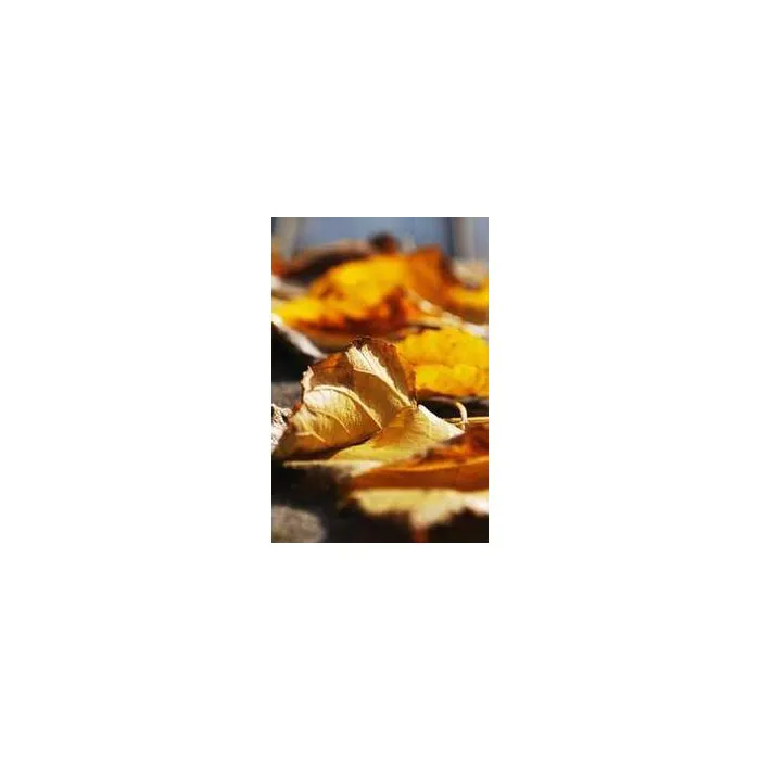 Simple Product 6340