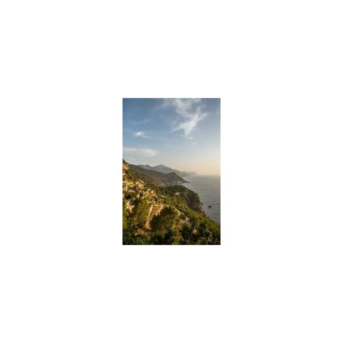 Simple Product 267