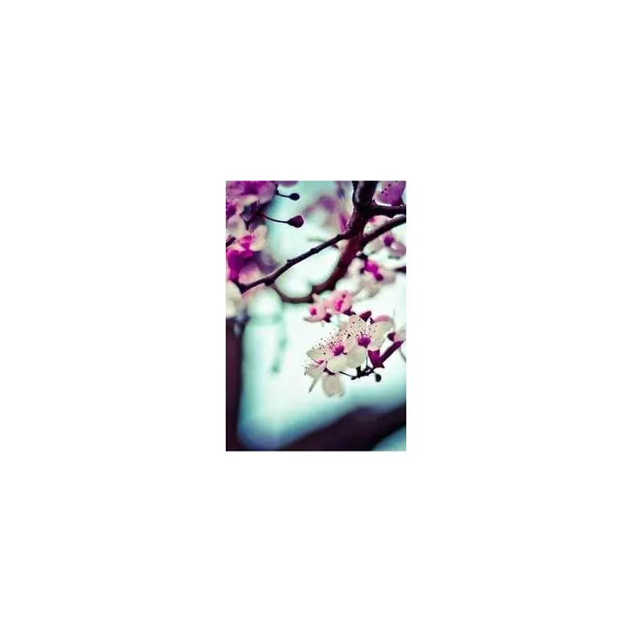 Simple Product 729