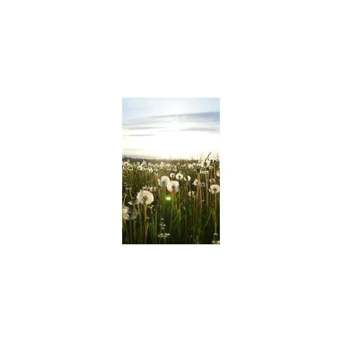 Simple Product 5283