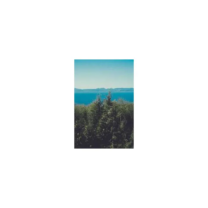 Simple Product 6467