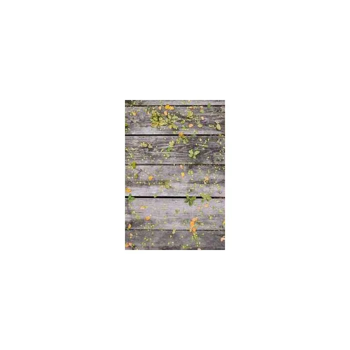 Simple Product 6879