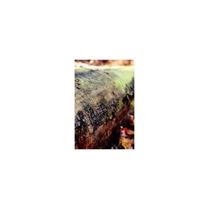 Simple Product 9142