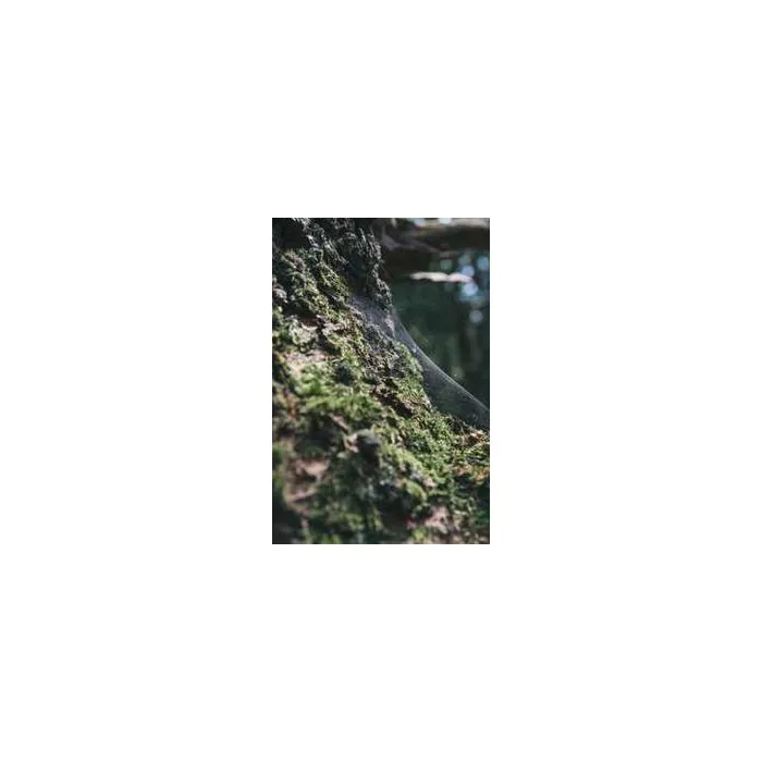 Simple Product 7698