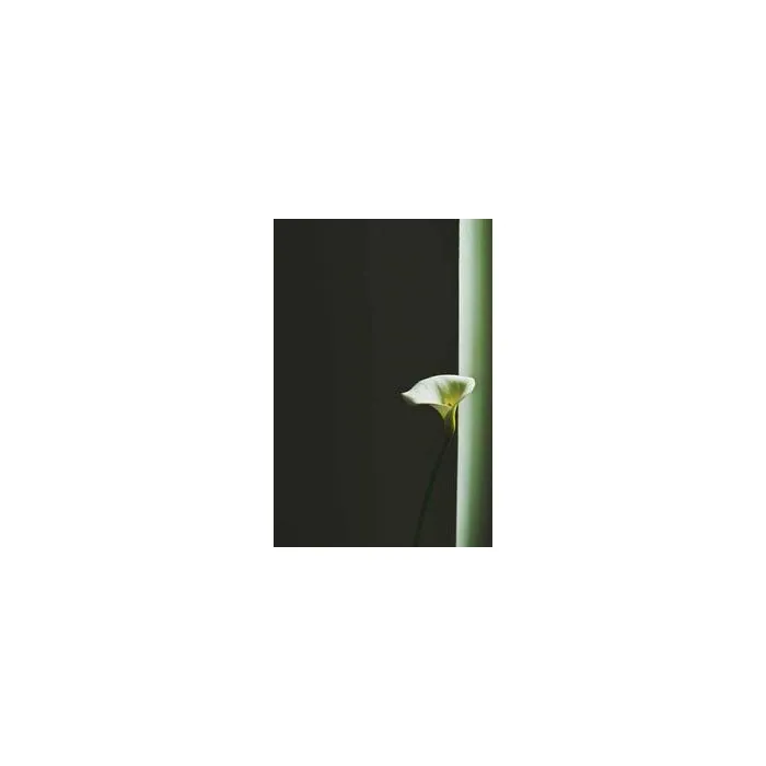 Simple Product 3444