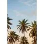 Simple Product 4529