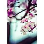 Simple Product 12033