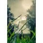 Simple Product 2514