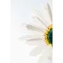 Simple Product 9130